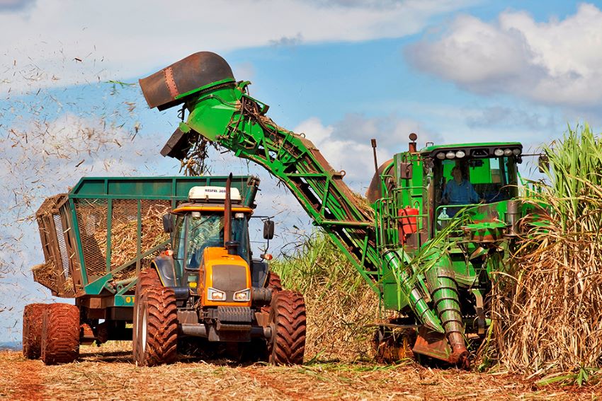 Trator trabalha na colheita da cana-de-açúcar