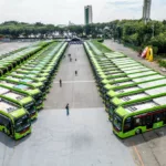 ônibus elétricos enfileirados em apresentação