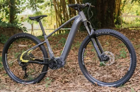 Bicicleta elétrica em paisagem com folhas no chão