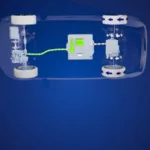 ZF extensores