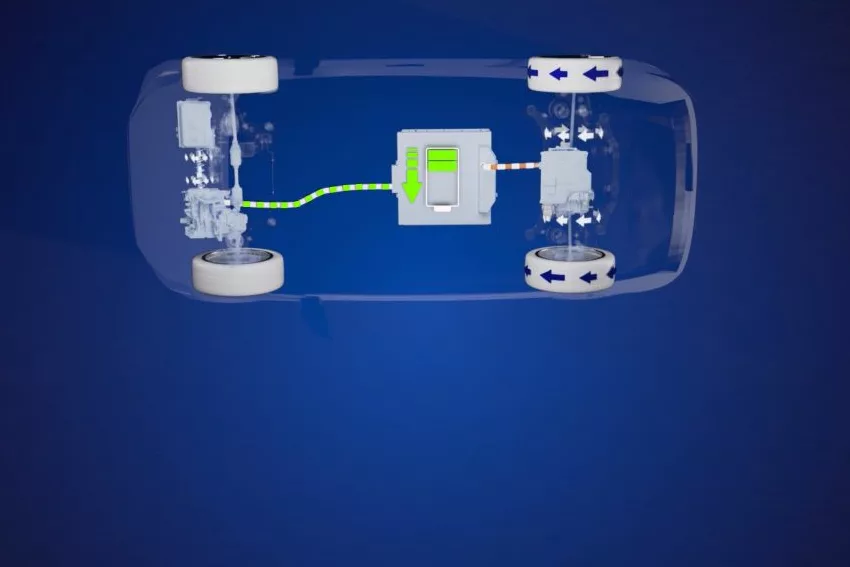 ZF extensores