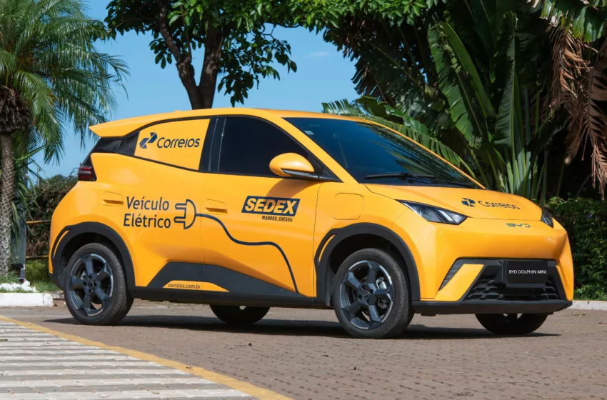BYD Dolphin Mini Cargo