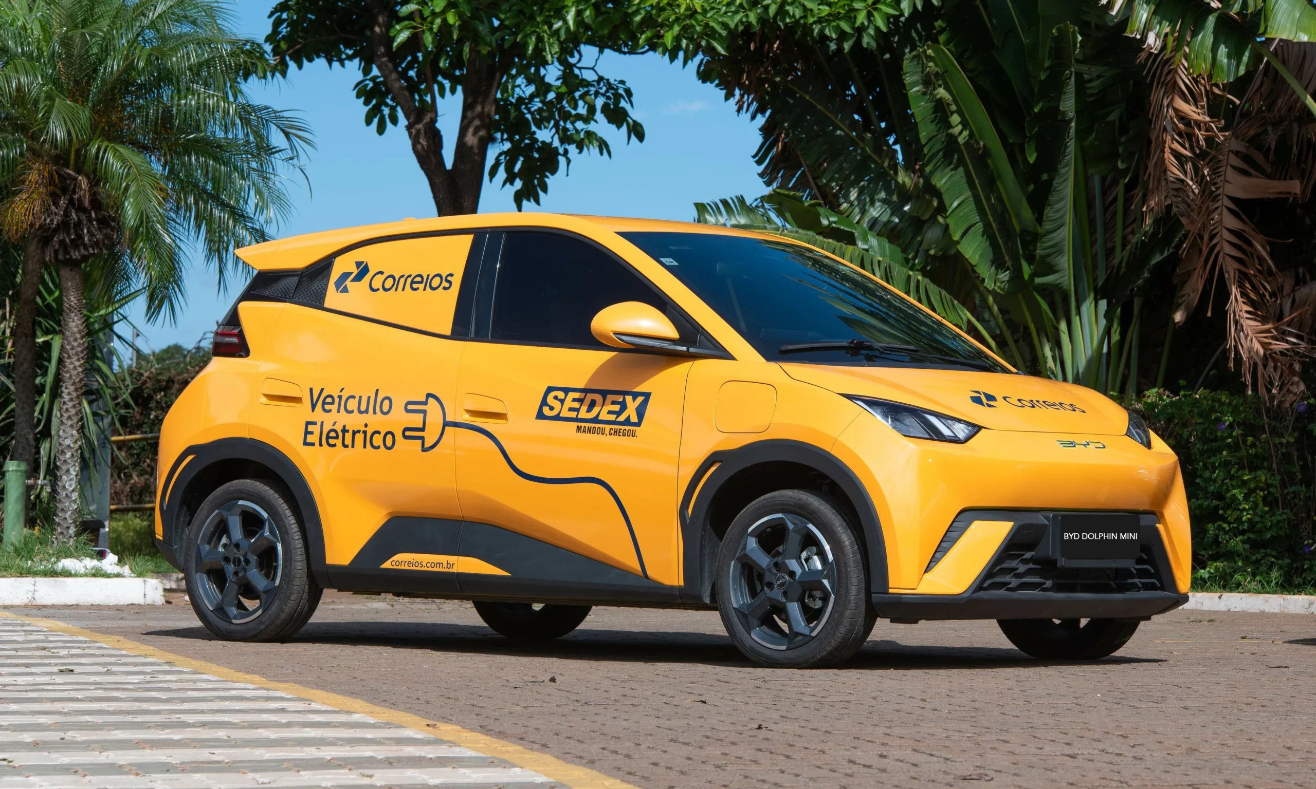 BYD Dolphin Mini Cargo