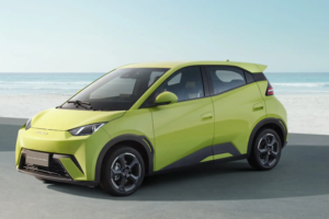 byd dolphin mini