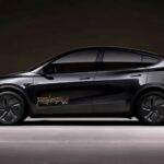 tesla robotaxi model y