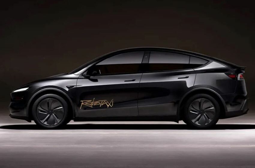 tesla robotaxi model y