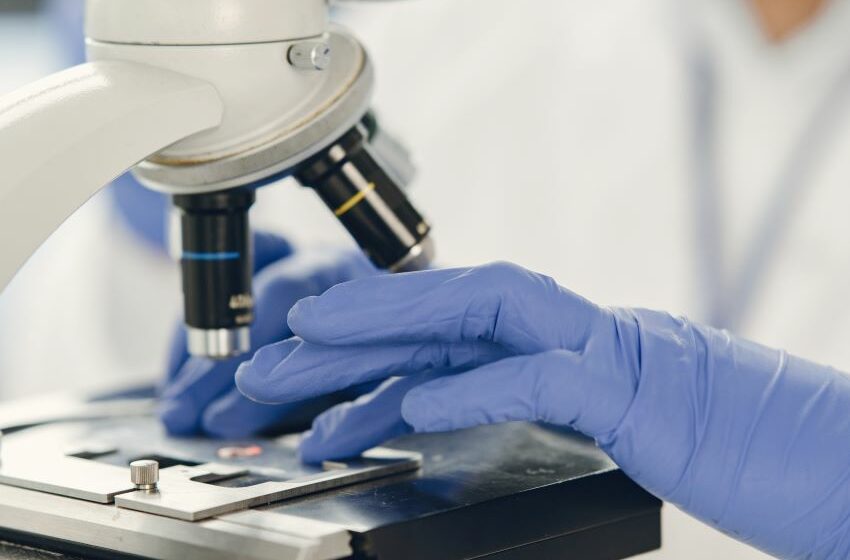 laboratório