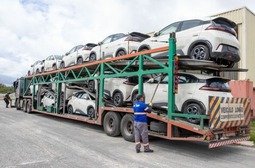 Carros posicionados dentro do caminhão