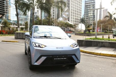 BYD Dolphin Mini