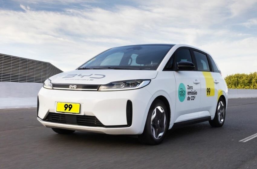 Modelos mais usados são da família Dolphin e o King. Foto: Marcio Bruno