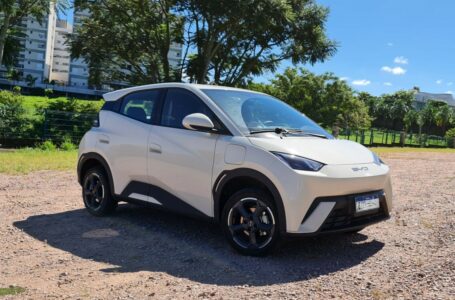 BYD Dolphin Mini estacionado em chão de pedriscos, com árvore ao fundo