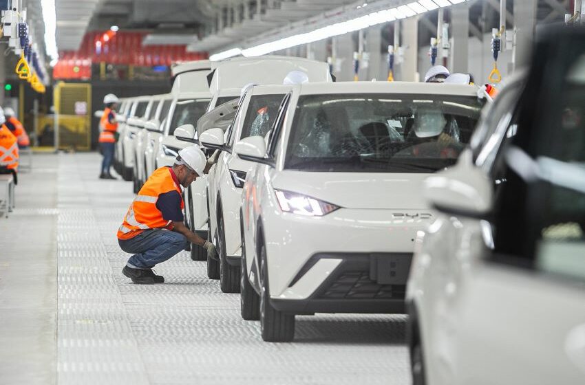 Dolphin Mini na fábrica