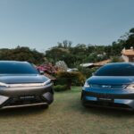 BYD lança Dolphin SE e Yuan Plus com mais potência no Brasil